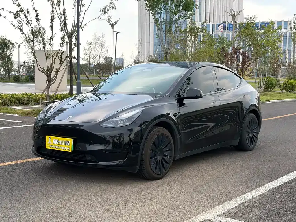 Tesla Model Y — фото 1