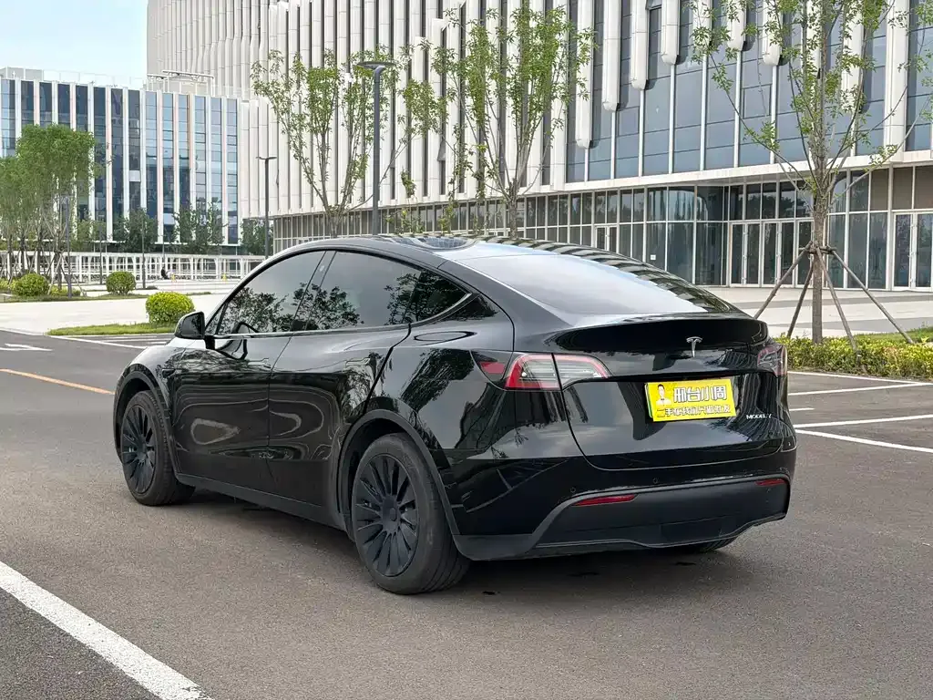 Tesla Model Y — фото 9
