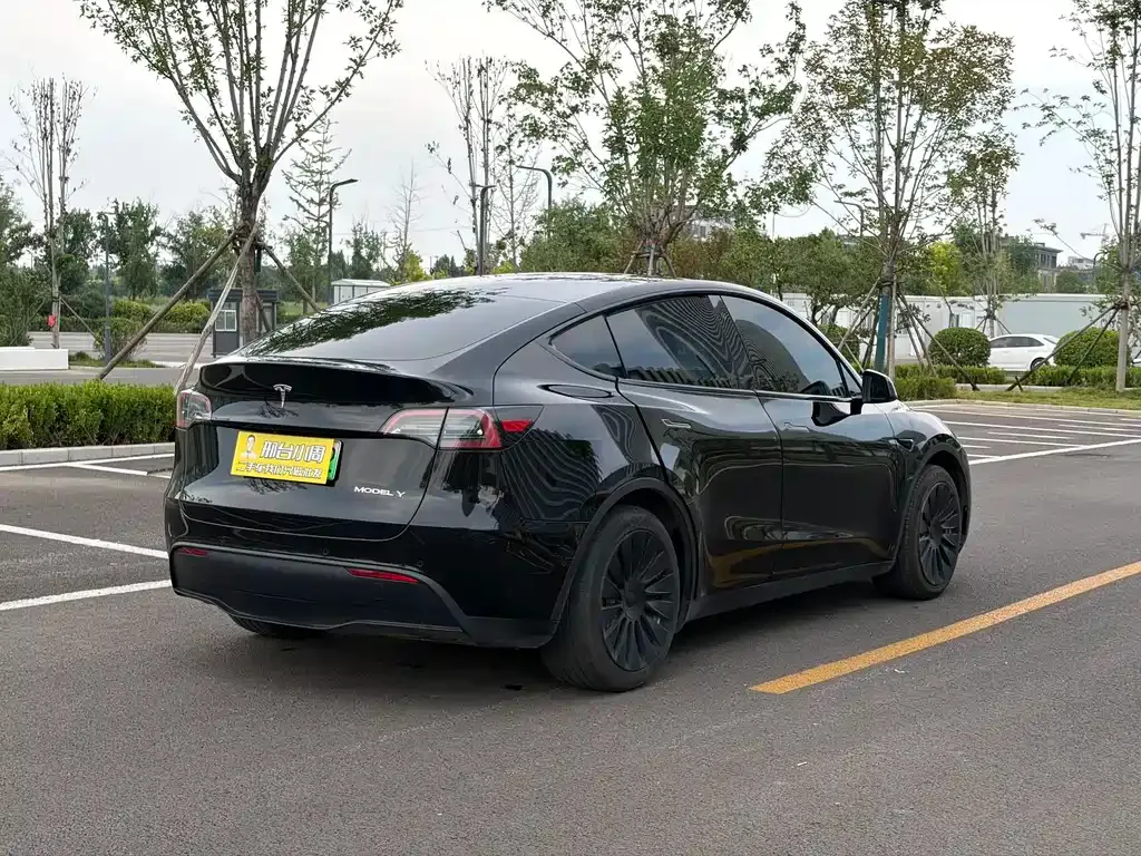 Tesla Model Y — фото 8