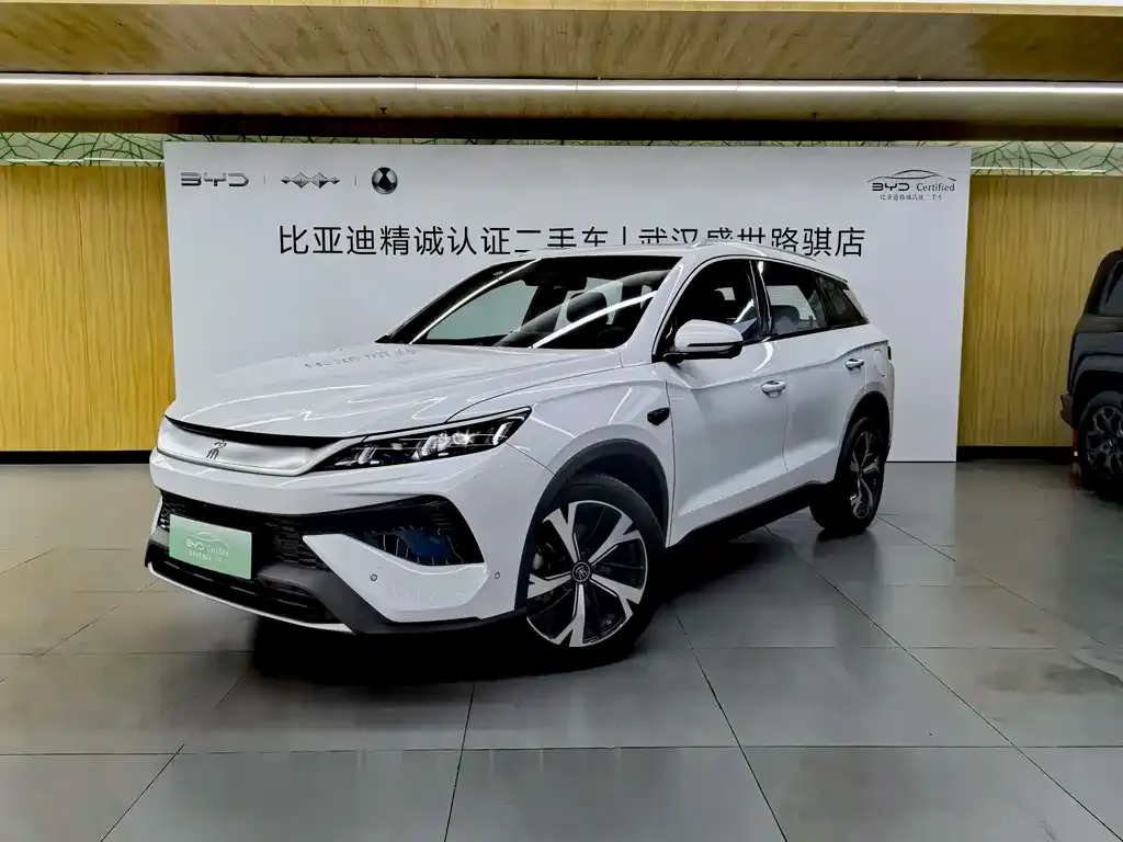 BYD Pro New Energy — фото 1