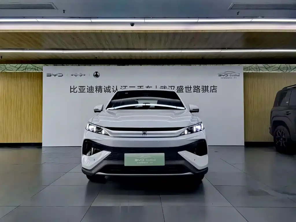 BYD Pro New Energy — фото 2