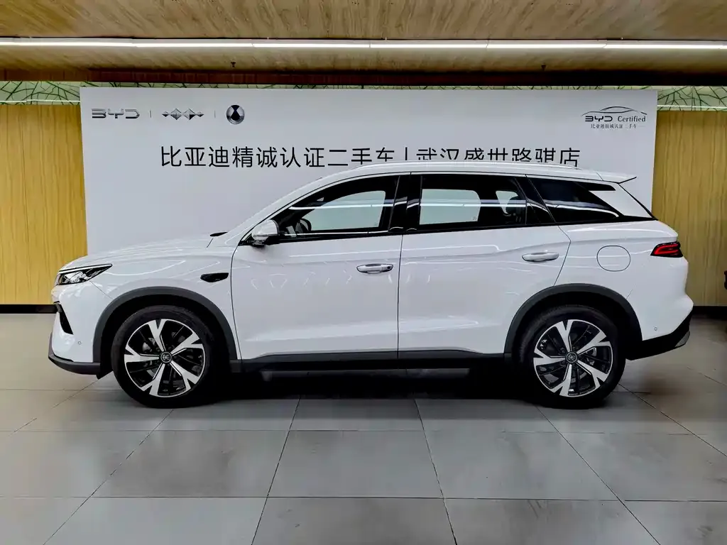 BYD Pro New Energy — фото 4