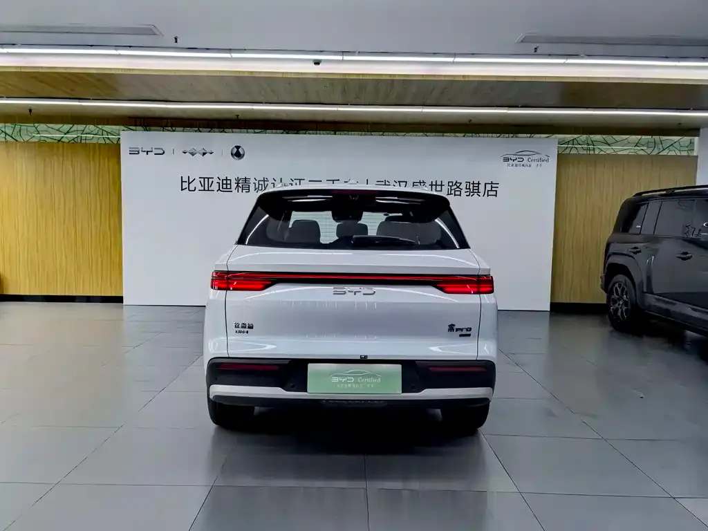 BYD Pro New Energy — фото 8