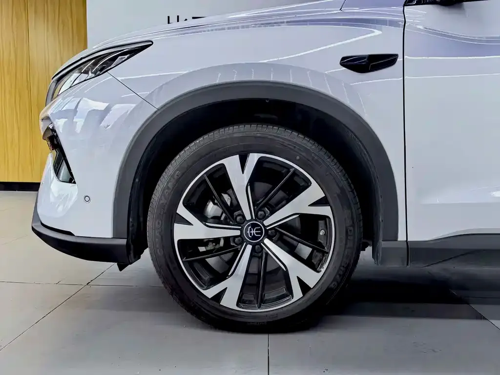 BYD Pro New Energy — фото 10