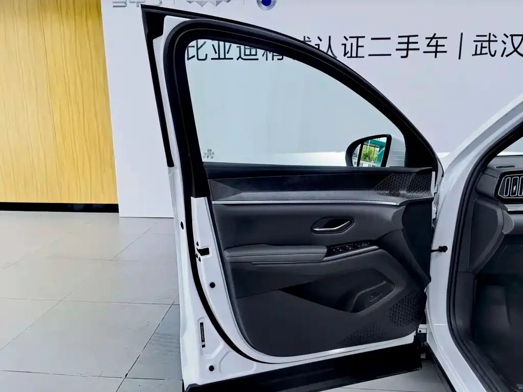BYD Pro New Energy — фото 6