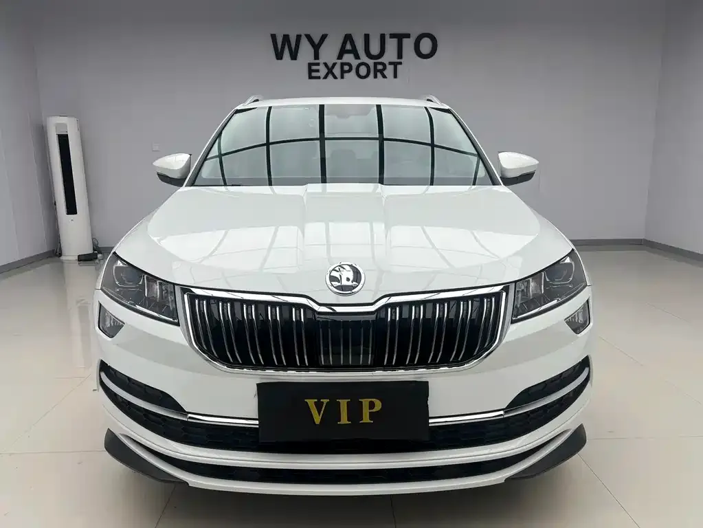 Skoda Karoq — фото 8