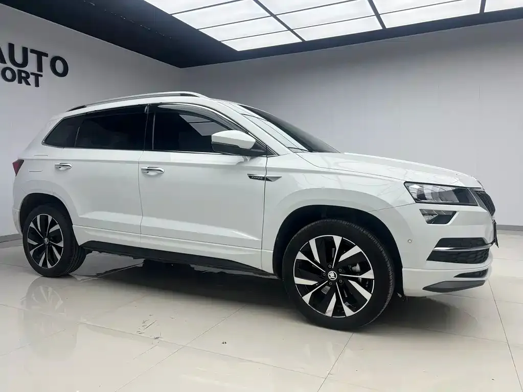 Skoda Karoq — фото 7
