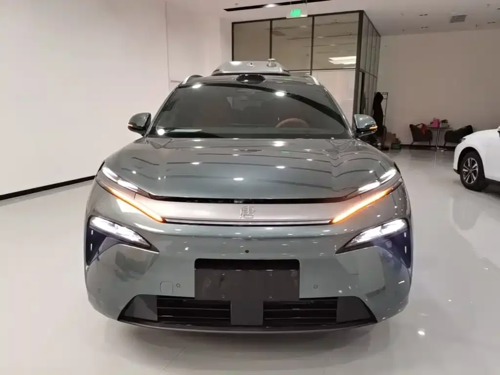 BYD Tang L — фото 2