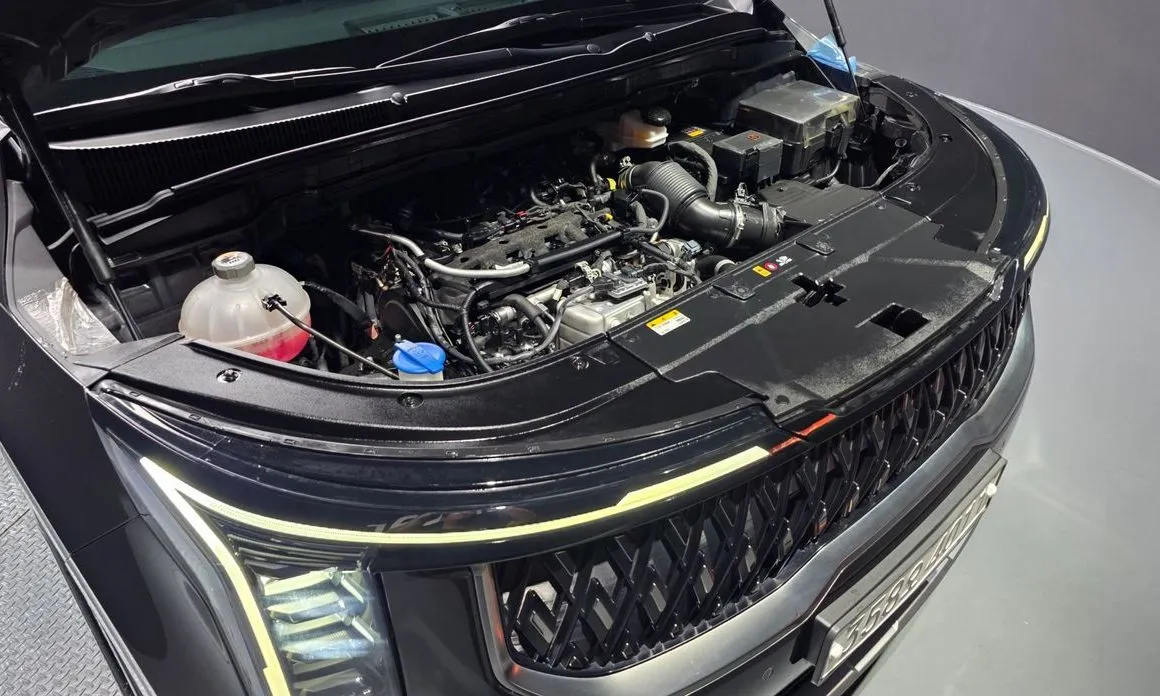 Kia Carnival — фото 10