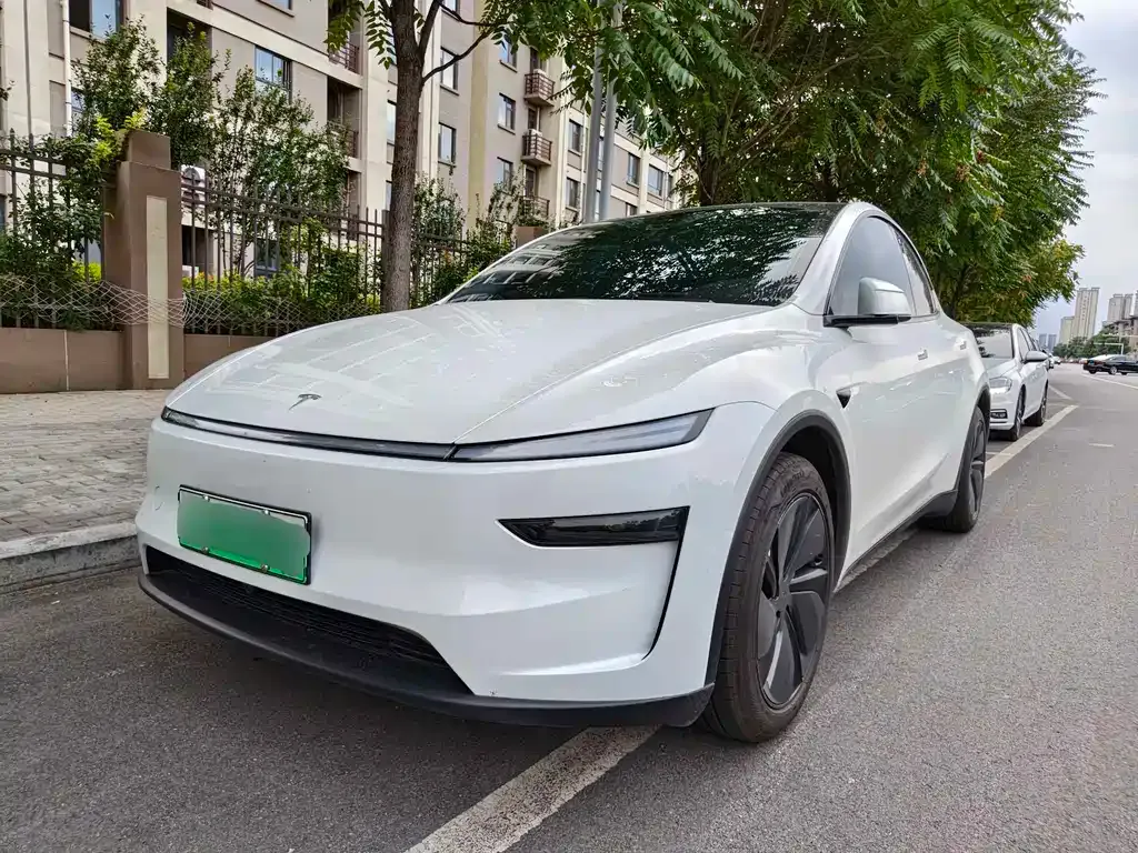 Tesla Model Y — фото 1