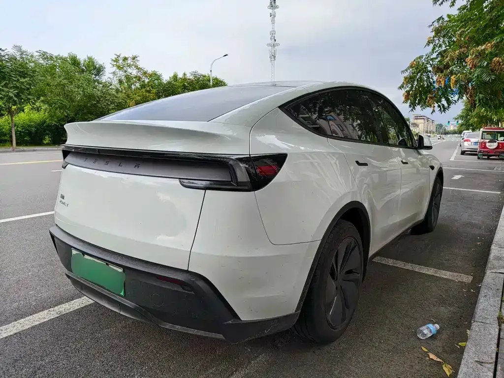Tesla Model Y — фото 5