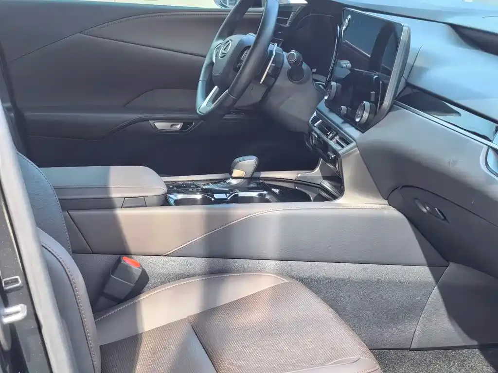 Lexus RX — фото 10
