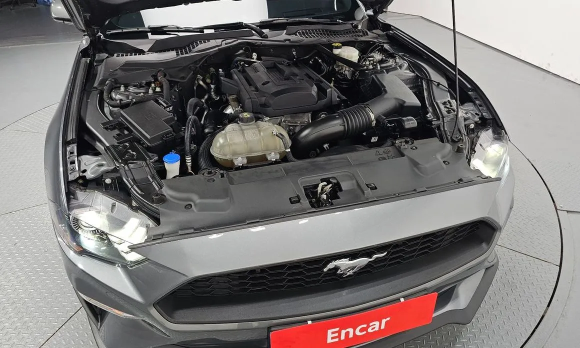 Ford Mustang 2022 из KR, фото 7