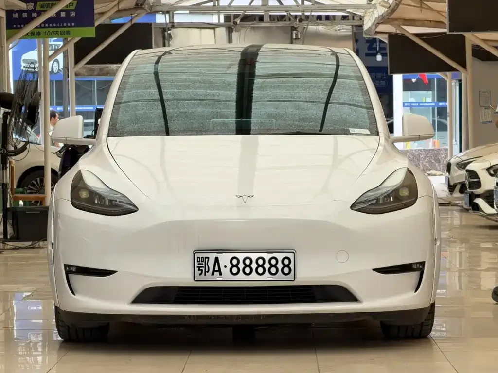 Tesla Model Y — фото 3
