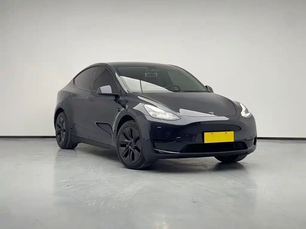 Tesla Model Y — фото 8