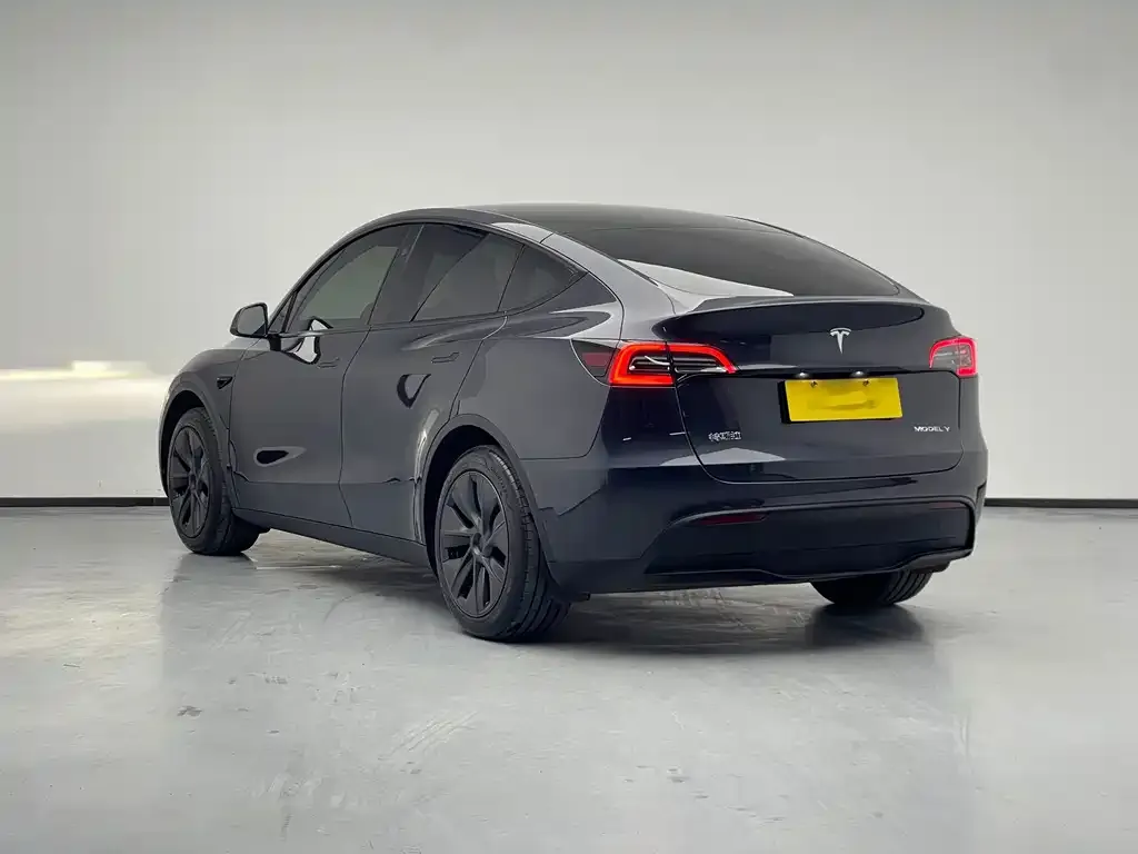 Tesla Model Y — фото 3