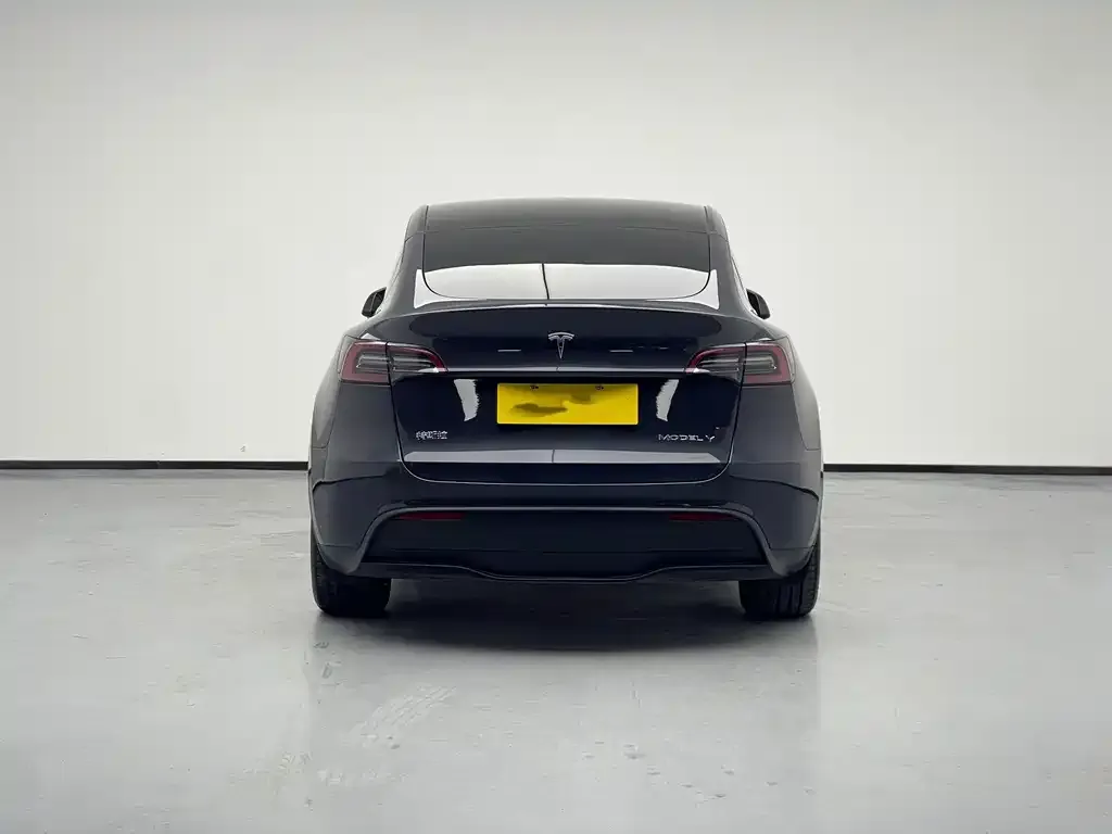 Tesla Model Y — фото 5