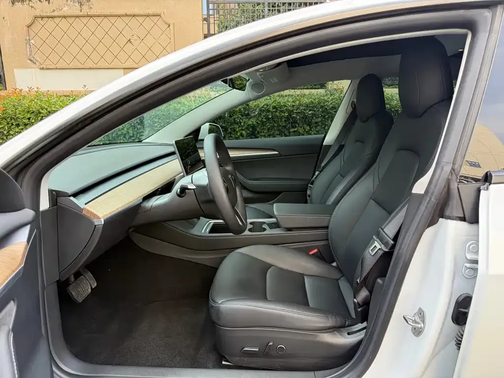 Tesla Model 3 — фото 2