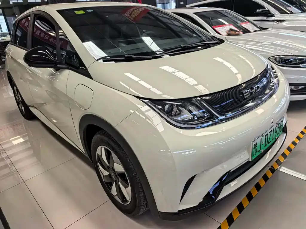 BYD Dolphin — фото 10