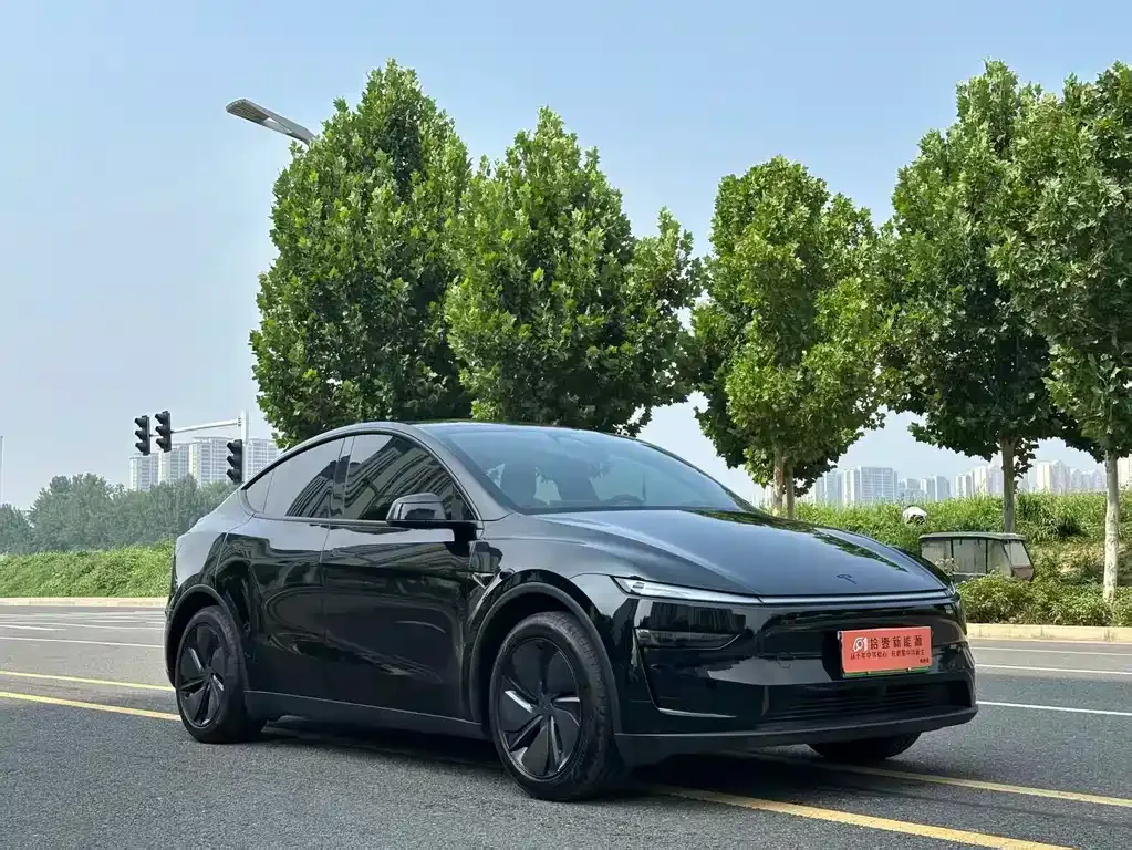 Tesla Model Y — фото 10