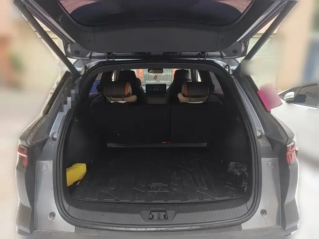 BYD Pro New Energy — фото 4