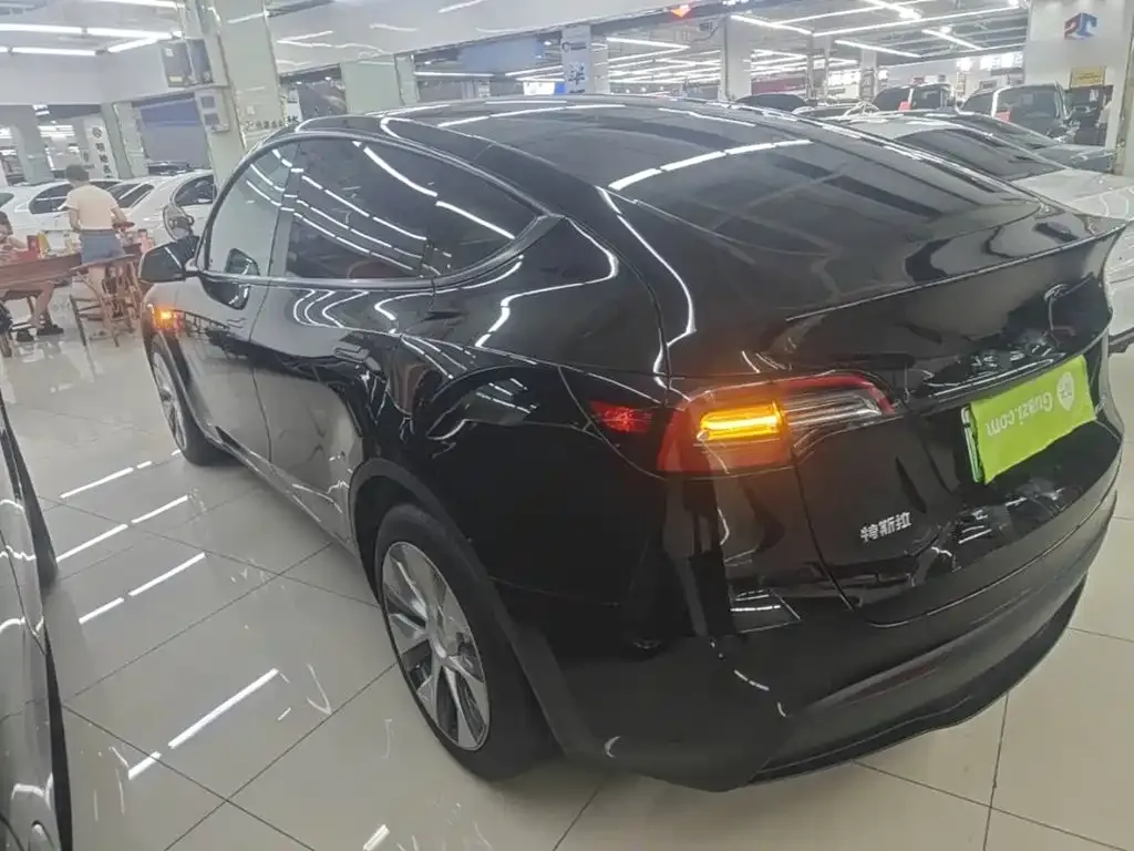 Tesla Model Y — фото 10