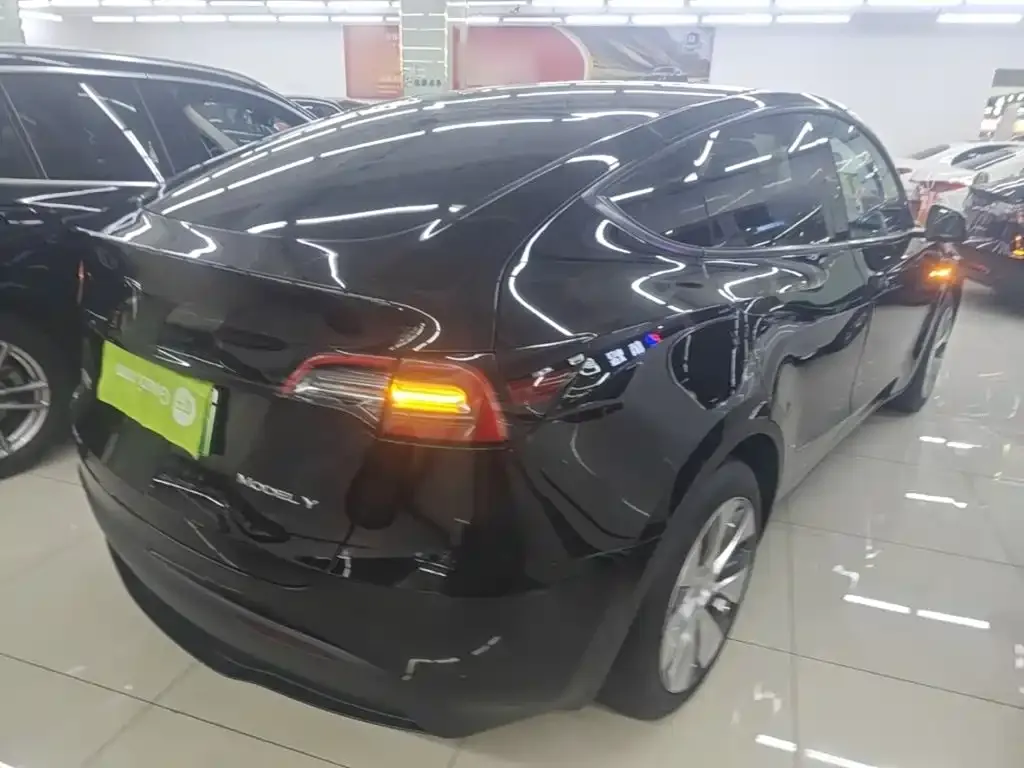 Tesla Model Y — фото 3
