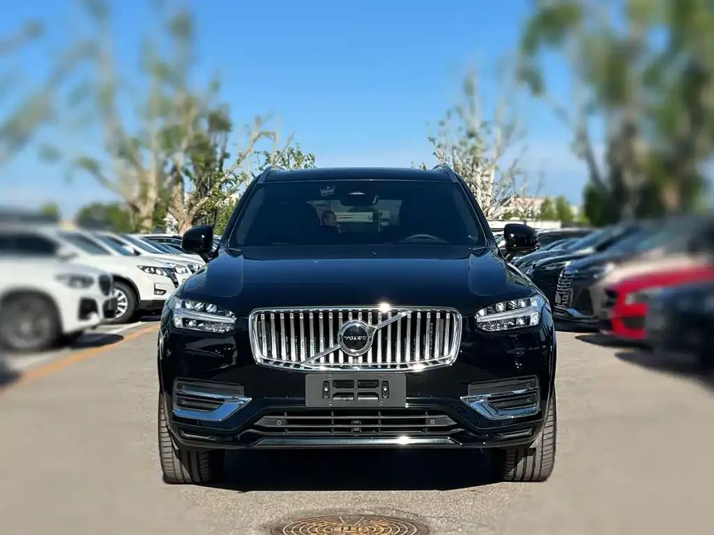 Volvo XC90 — фото 4