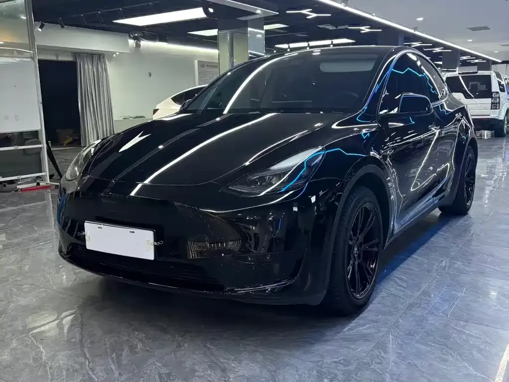 Tesla Model Y — фото 1