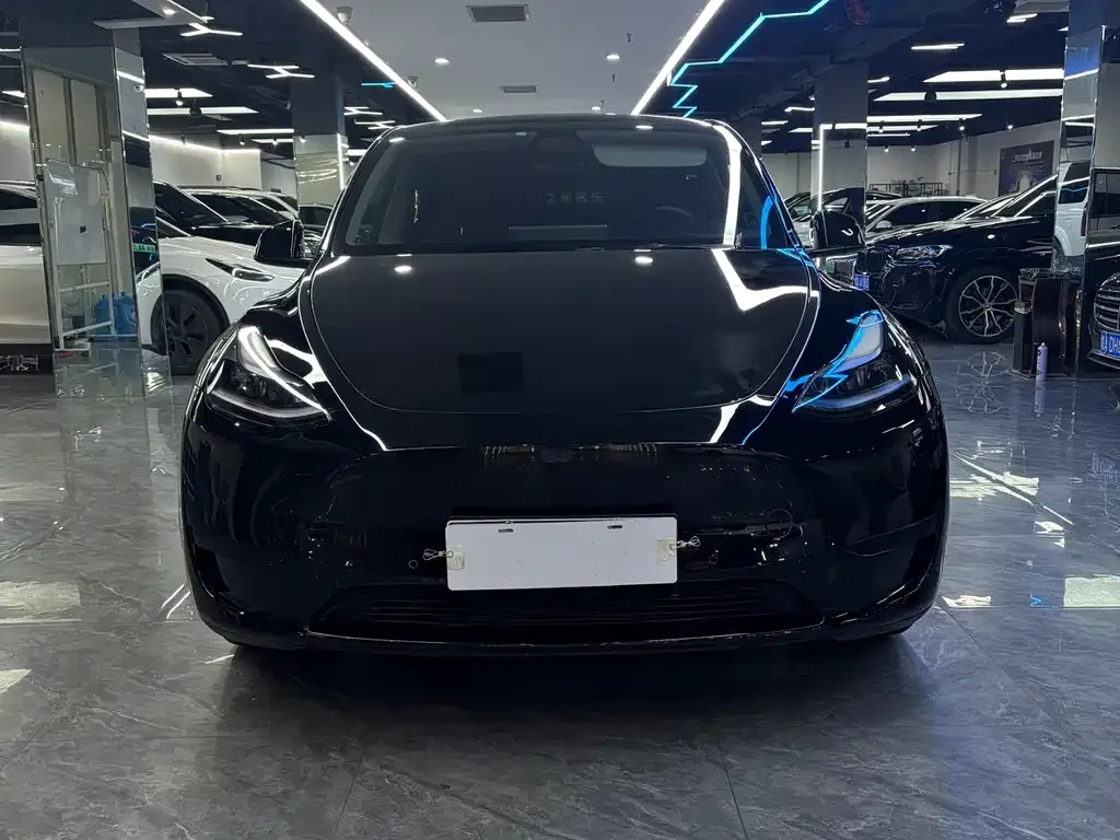Tesla Model Y — фото 9