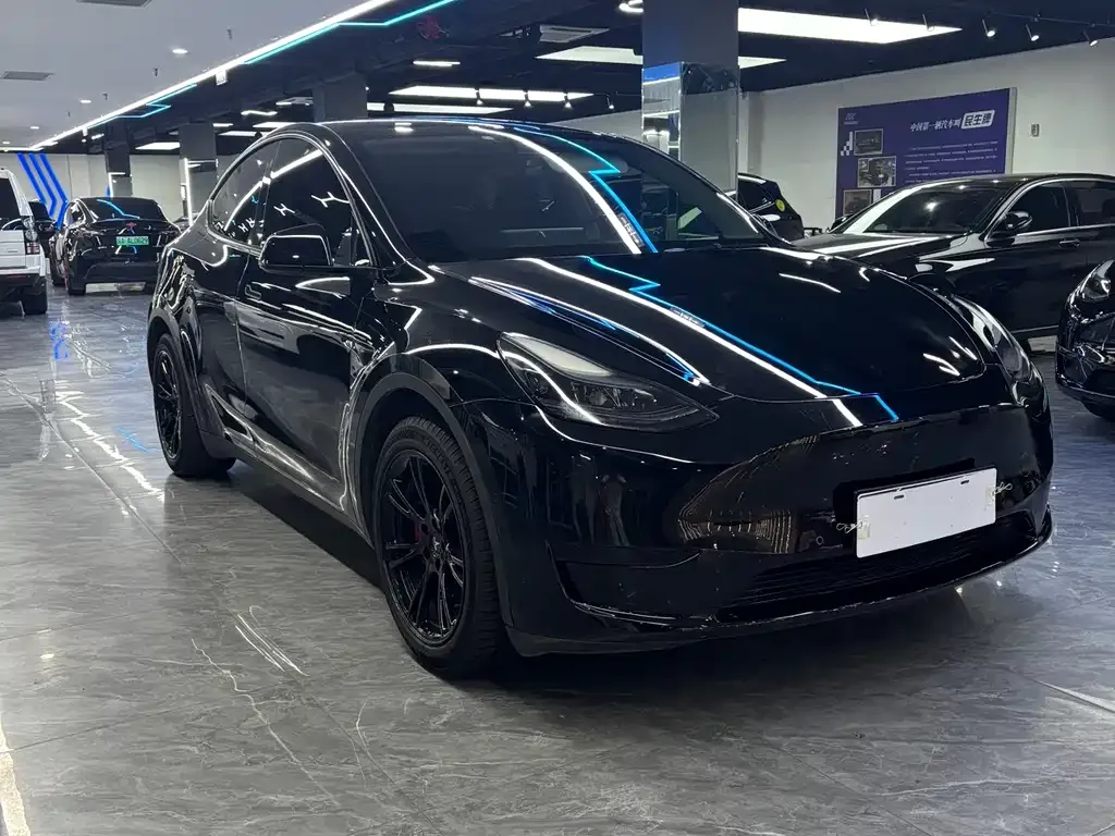 Tesla Model Y — фото 8