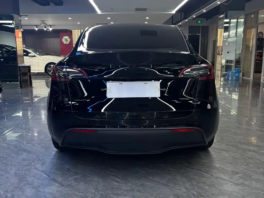 Tesla Model Y — фото 4