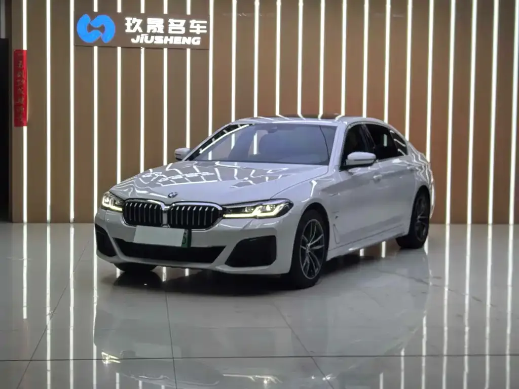 BMW 5 Series New Energy — фото 1
