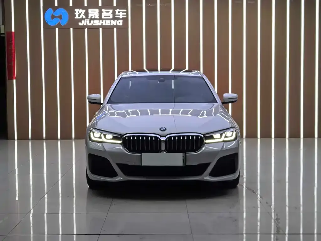 BMW 5 Series New Energy — фото 3