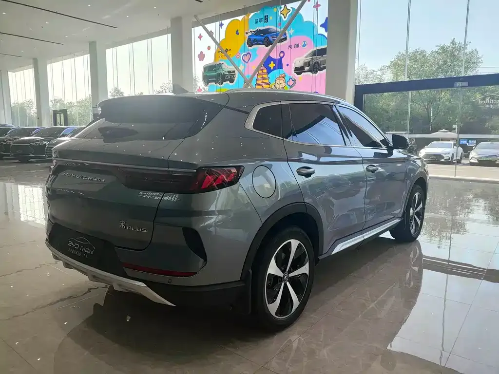 BYD PLUS New Energy — фото 6