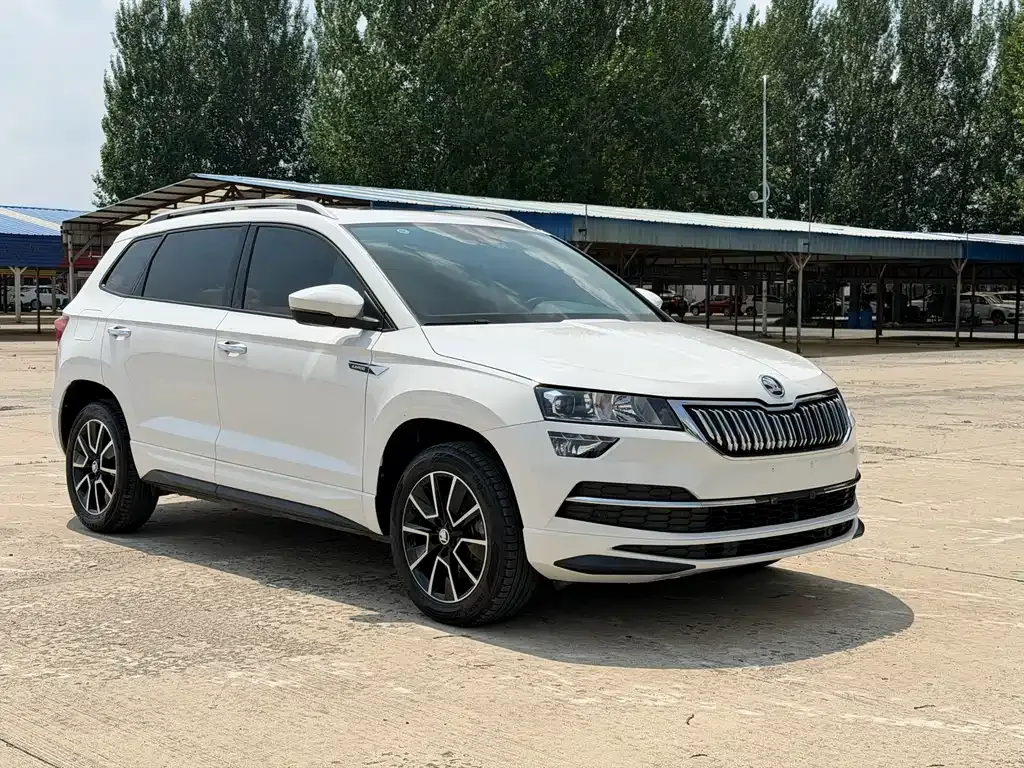 Skoda Karoq — фото 10