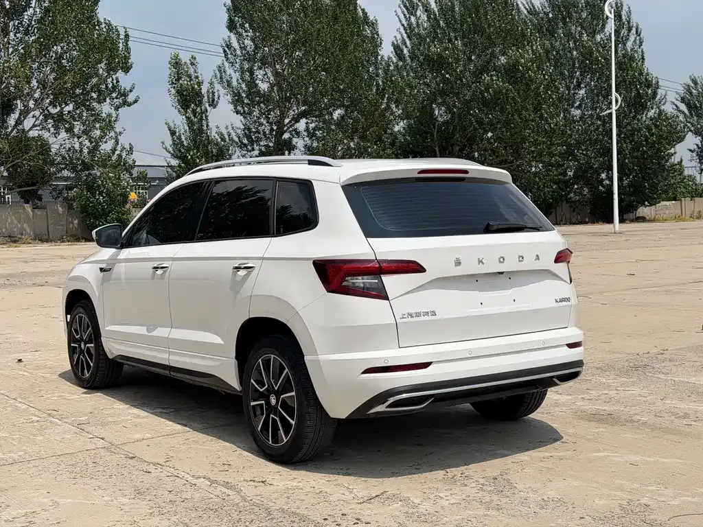 Skoda Karoq — фото 6