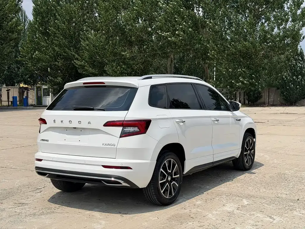 Skoda Karoq — фото 9