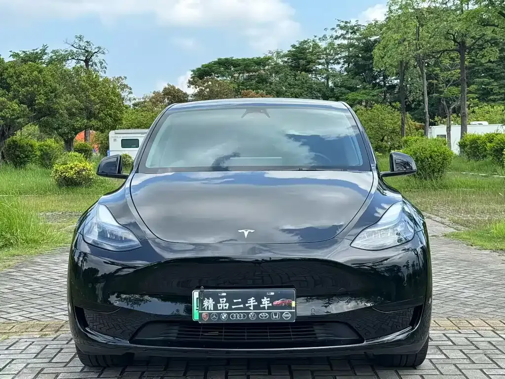 Tesla Model Y — фото 3