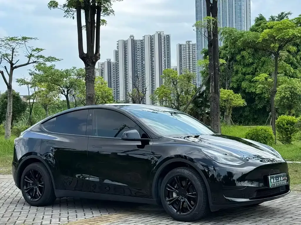 Tesla Model Y — фото 7