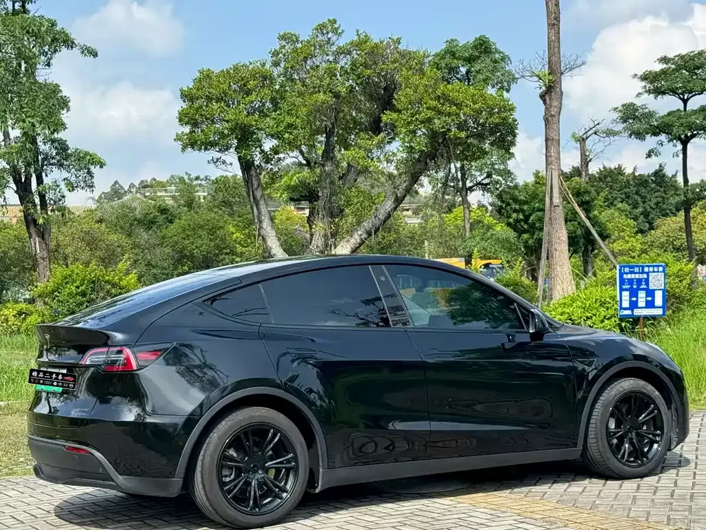 Tesla Model Y — фото 10