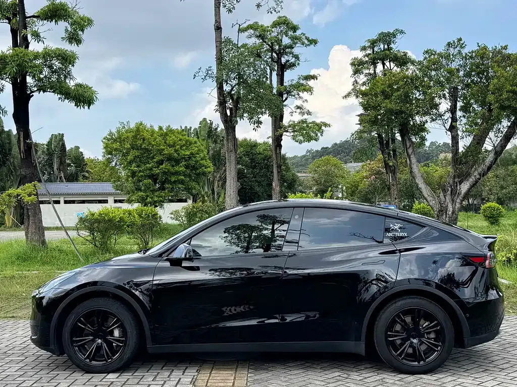 Tesla Model Y — фото 8
