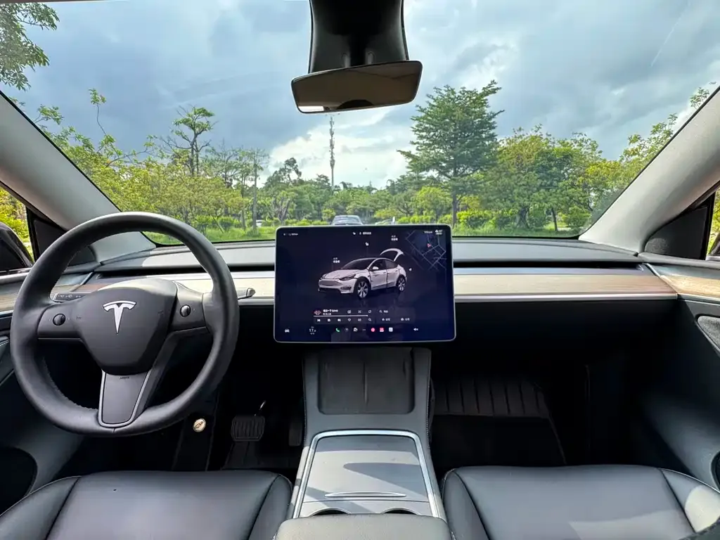 Tesla Model Y — фото 5