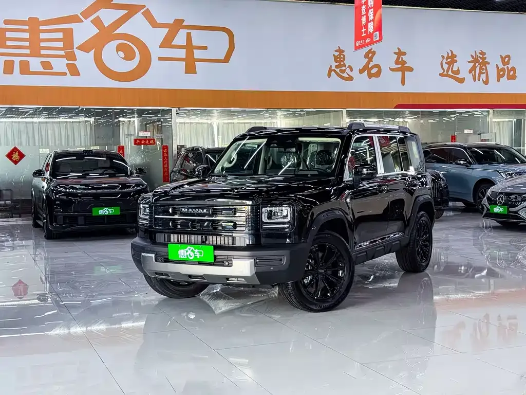 Haval Menglong New Energy — фото 1