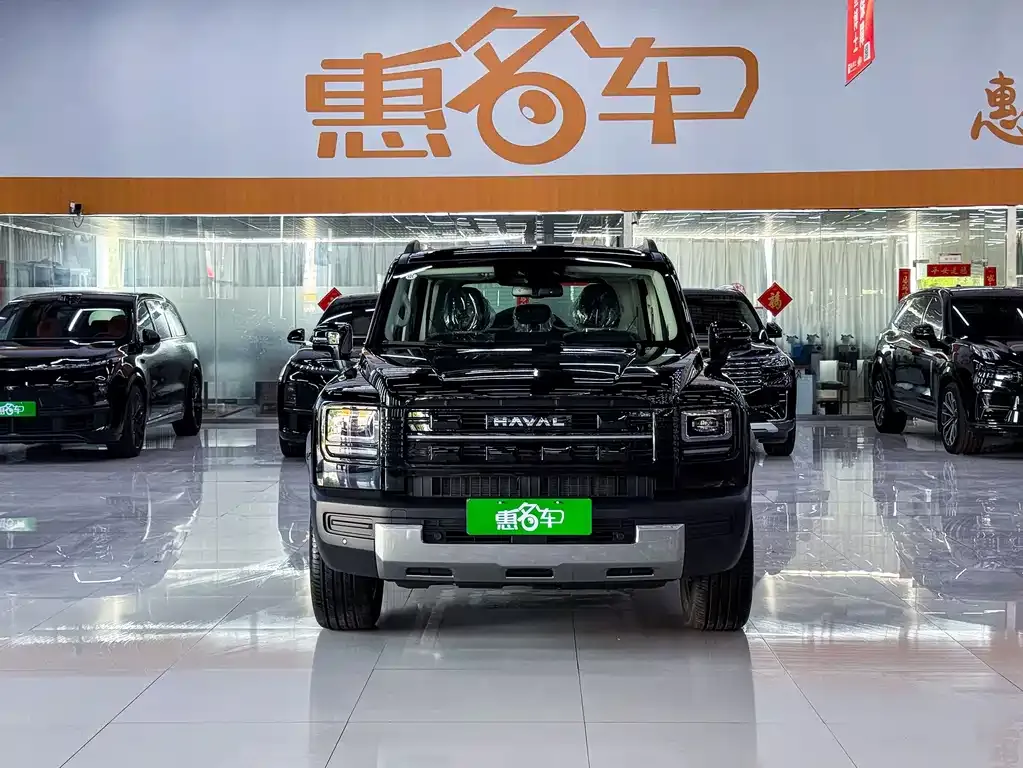 Haval Menglong New Energy — фото 10
