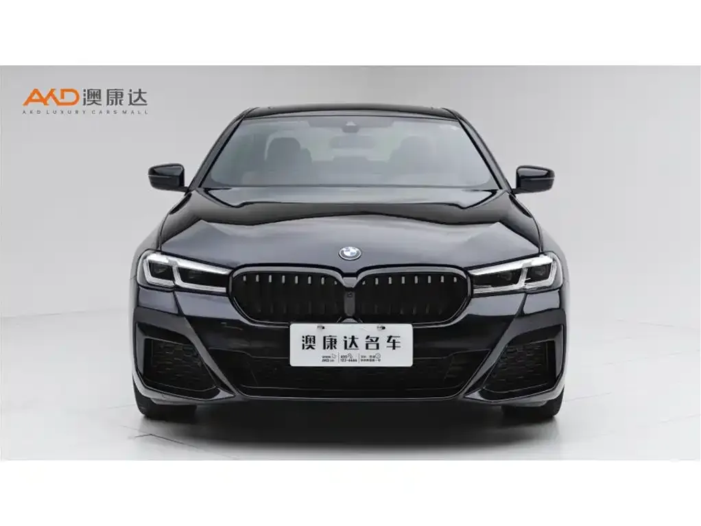 BMW 5 Series (Import) 2022 из CN, фото 10