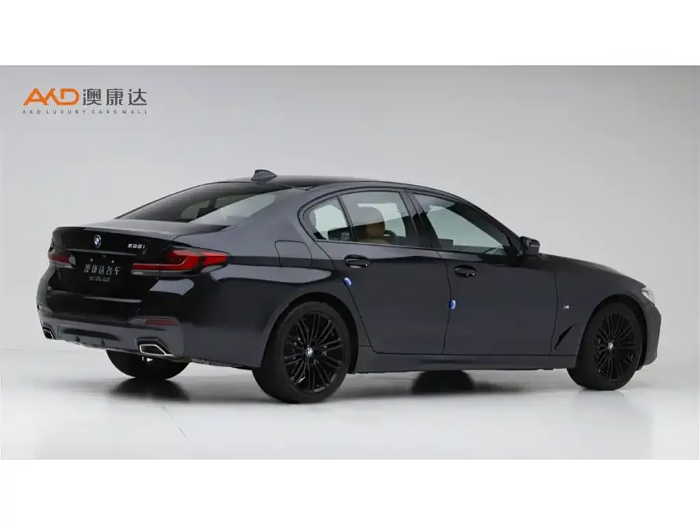 BMW 5 Series (Import) 2022 из CN, фото 4