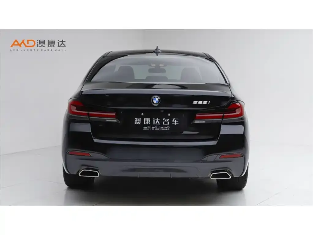 BMW 5 Series (Import) 2022 из CN, фото 8