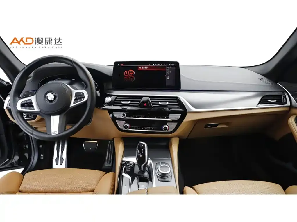 BMW 5 Series (Import) 2022 из CN, фото 2