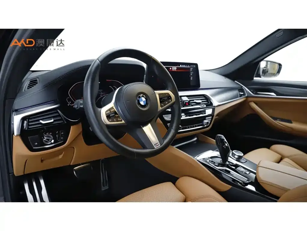 BMW 5 Series (Import) 2022 из CN, фото 9
